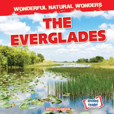 Les Everglades - The Everglades