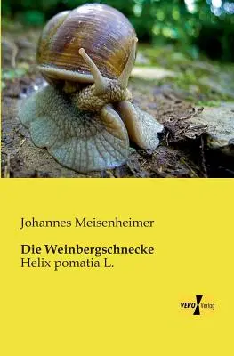 La punaise de Weinberg : Helix pomatia L. - Die Weinbergschnecke: Helix pomatia L.