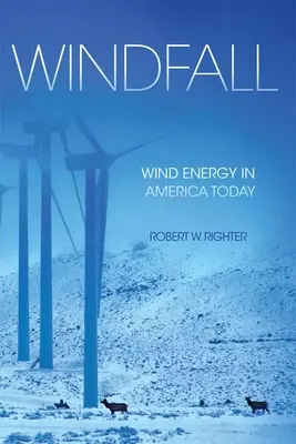 L'aubaine : L'énergie éolienne dans l'Amérique d'aujourd'hui - Windfall: Wind Energy in America Today