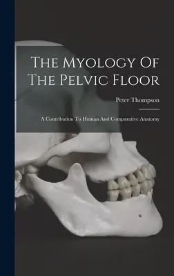 La myologie du plancher pelvien : Une contribution à l'anatomie humaine et comparative - The Myology Of The Pelvic Floor: A Contribution To Human And Comparative Anatomy