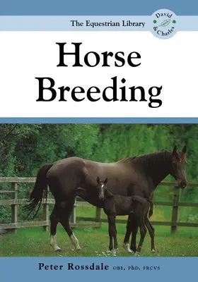 L'élevage de chevaux - Horse Breeding