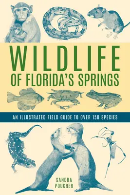 La faune des sources de Floride : Un guide de terrain illustré de plus de 150 espèces - Wildlife of Florida's Springs: An Illustrated Field Guide to Over 150 Species
