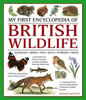 Ma première encyclopédie de la faune britannique : Mammifères, oiseaux, poissons, insectes, fleurs, arbres - My First Encylopedia of British Wildlife: Mammals, Birds, Fish, Bugs, Flowers, Trees