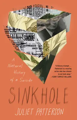 Sinkhole : Un héritage de suicide - Sinkhole: A Legacy of Suicide