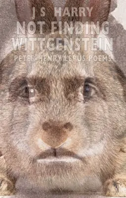 Ne pas trouver Wittgenstein - Not Finding Wittgenstein