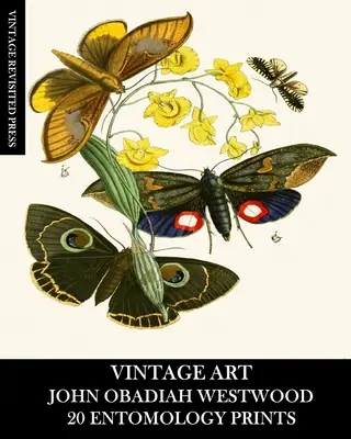 Art Vintage : John Obadiah Westwood : 20 gravures d'entomologie : Faune et Flora Ephemera pour Encadrement, Collage et Découpage - Vintage Art: John Obadiah Westwood 20 Entomology Prints: Fauna and Flora Ephemera for Framing, Collage and Decoupage