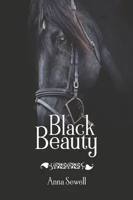 Beauté noire - Black Beauty