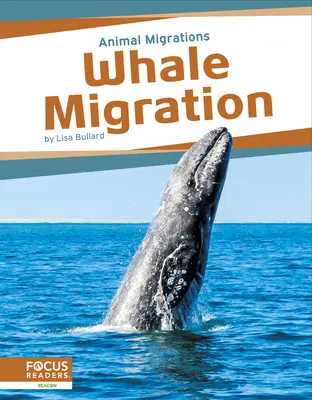 Migration des baleines - Whale Migration