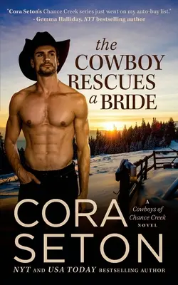 Le cow-boy sauve une mariée - The Cowboy Rescues a Bride