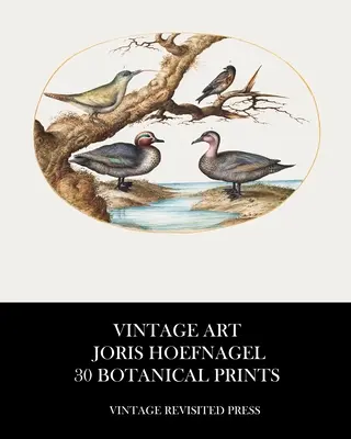 Art Vintage : Joris Hoefnagel 30 estampes botaniques - Vintage Art: Joris Hoefnagel 30 Botanical Prints