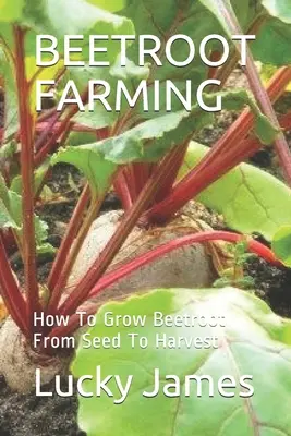 Culture de la betterave : comment cultiver la betterave de la semence à la récolte - Beetroot Farming: How To Grow Beetroot From Seed To Harvest