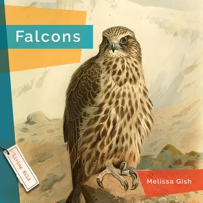 Faucons - Falcons