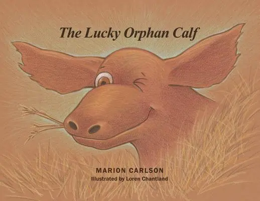 Le veau orphelin chanceux - The Lucky Orphan Calf