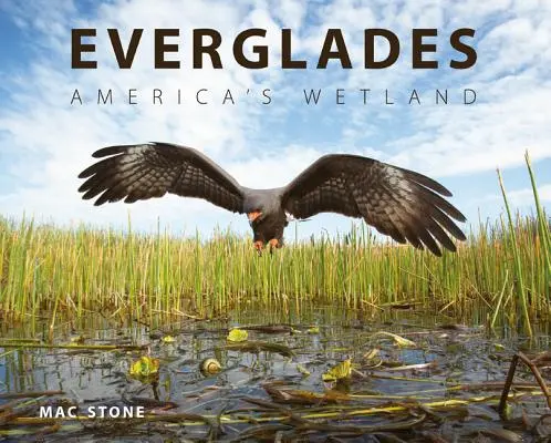 Les Everglades : Les zones humides d'Amérique - Everglades: America's Wetland