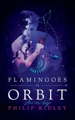 Flamants en orbite - Flamingoes in Orbit