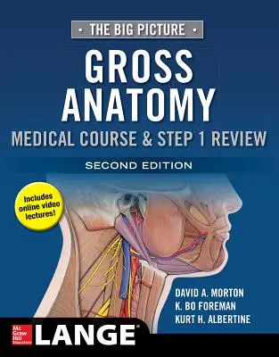 The Big Picture : Gross Anatomy, Medical Course & Step 1 Review, Second Edition - The Big Picture: Gross Anatomy, Medical Course & Step 1 Review, Second Edition