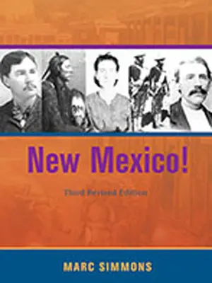 Le Nouveau-Mexique ! - New Mexico!