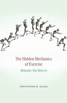Les mécanismes cachés de l'exercice : Les molécules qui nous font bouger - Hidden Mechanics of Exercise: Molecules That Move Us