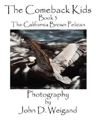 The Comeback Kids, Book 3, le pélican brun de Californie - The Comeback Kids, Book 3, the California Brown Pelican