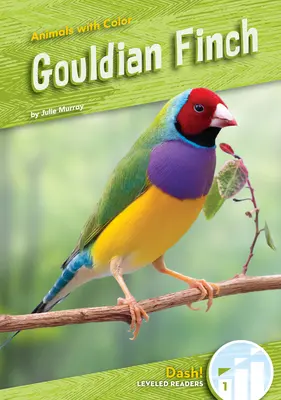 Pinson gouldien - Gouldian Finch