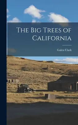 Les grands arbres de Californie - The Big Trees of California