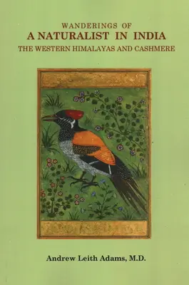 Vagabondages d'un naturaliste en Inde, dans l'Himalaya occidental et au Cachemire - Wanderings of a Naturalist in India, the Western Himalayas and Cashmere