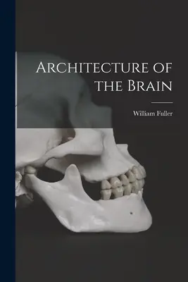 Architecture du cerveau - Architecture of the Brain