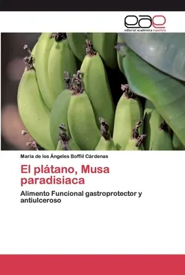 El pltano, Musa paradisiaca