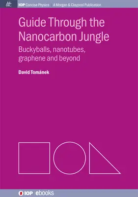 Guide de la jungle des nanocarbones : Buckyballs, nanotubes, graphène et au-delà - Guide through the Nanocarbon Jungle: Buckyballs, Nanotubes, Graphene, and Beyond
