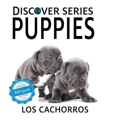 Chiots / Los cachorros - Puppies / Los cachorros