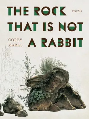 Le rocher qui n'est pas un lapin : poèmes - The Rock That Is Not a Rabbit: Poems