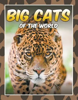 Les grands félins du monde - Big Cats of the World