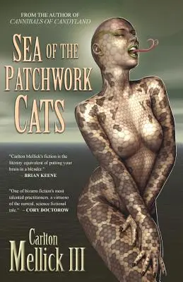 La mer des chats patchwork - Sea of the Patchwork Cats