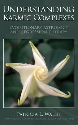 Comprendre les complexes karmiques - Understanding Karmic Complexes