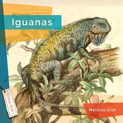 Iguanes - Iguanas