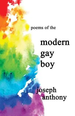 Le garçon gay moderne - modern gay boy