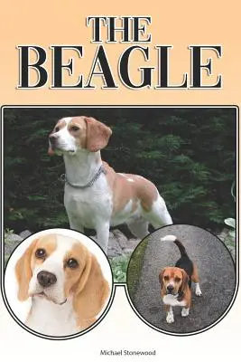 Le Beagle : Un guide complet pour les débutants : L'achat, la possession, la santé, le toilettage, le dressage, l'obéissance, la compréhension. - The Beagle: A Complete and Comprehensive Beginners Guide To: Buying, Owning, Health, Grooming, Training, Obedience, Understanding