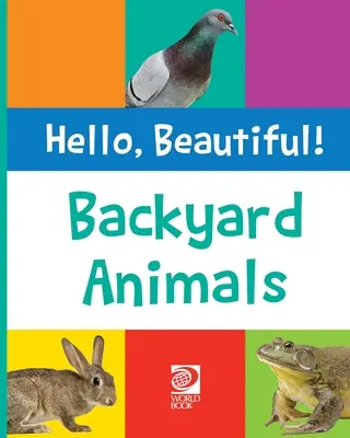 Animaux de la basse-cour - Backyard Animals