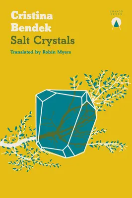 Cristaux de sel - Salt Crystals