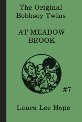 Les jumeaux Bobbsey à Meadow Brook - The Bobbsey Twins at Meadow Brook