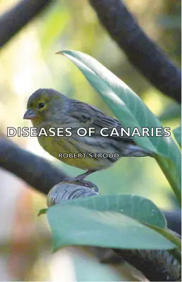 Maladies des canaris - Diseases of Canaries