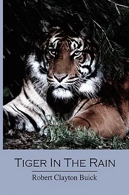 Tigre sous la pluie - Tiger in the Rain