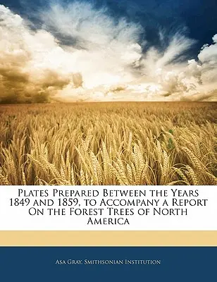 Planches préparées entre les années 1849 et 1859 pour accompagner un rapport sur les arbres forestiers de l'Amérique du Nord - Plates Prepared Between the Years 1849 and 1859, to Accompany a Report on the Forest Trees of North America