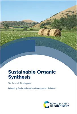 Synthèse organique durable : Outils et stratégies - Sustainable Organic Synthesis: Tools and Strategies