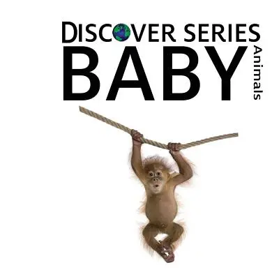 Bébés animaux - Baby Animals