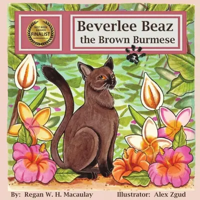 Beverlee Beaz le birman brun - Beverlee Beaz the Brown Burmese