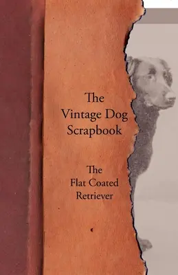 L'album souvenir du chien - Le Flat Coated Retriever - The Vintage Dog Scrapbook - The Flat Coated Retriever