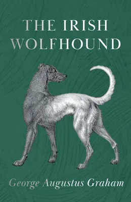 L'Irish Wolfhound - The Irish Wolfhound