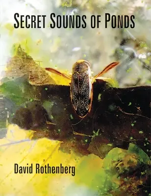 Les sons secrets des étangs - Secret Sounds of Ponds