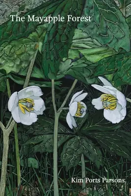 La forêt d'ananas - The Mayapple Forest